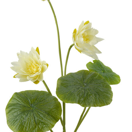 FLOWERING LOTUS SPRAY 140CM White
