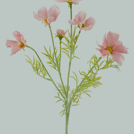 COMOS SPRAY 61CM ( Hoa cánh bướm)