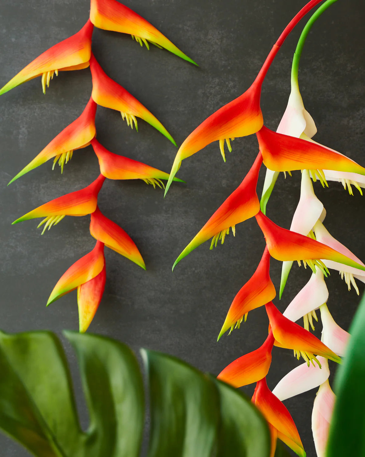 HANGING HELICONIA STEM LIGHT PINK/SUNSET 96CM