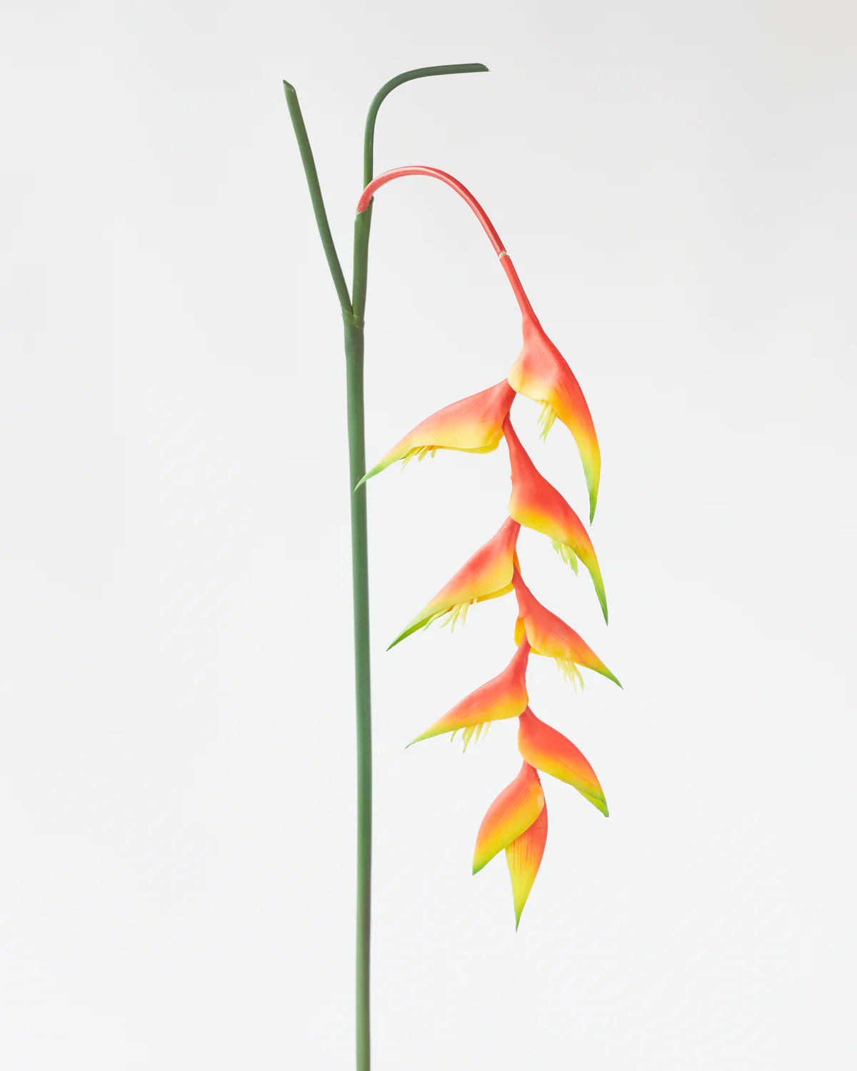 HANGING HELICONIA STEM LIGHT PINK/SUNSET 96CM