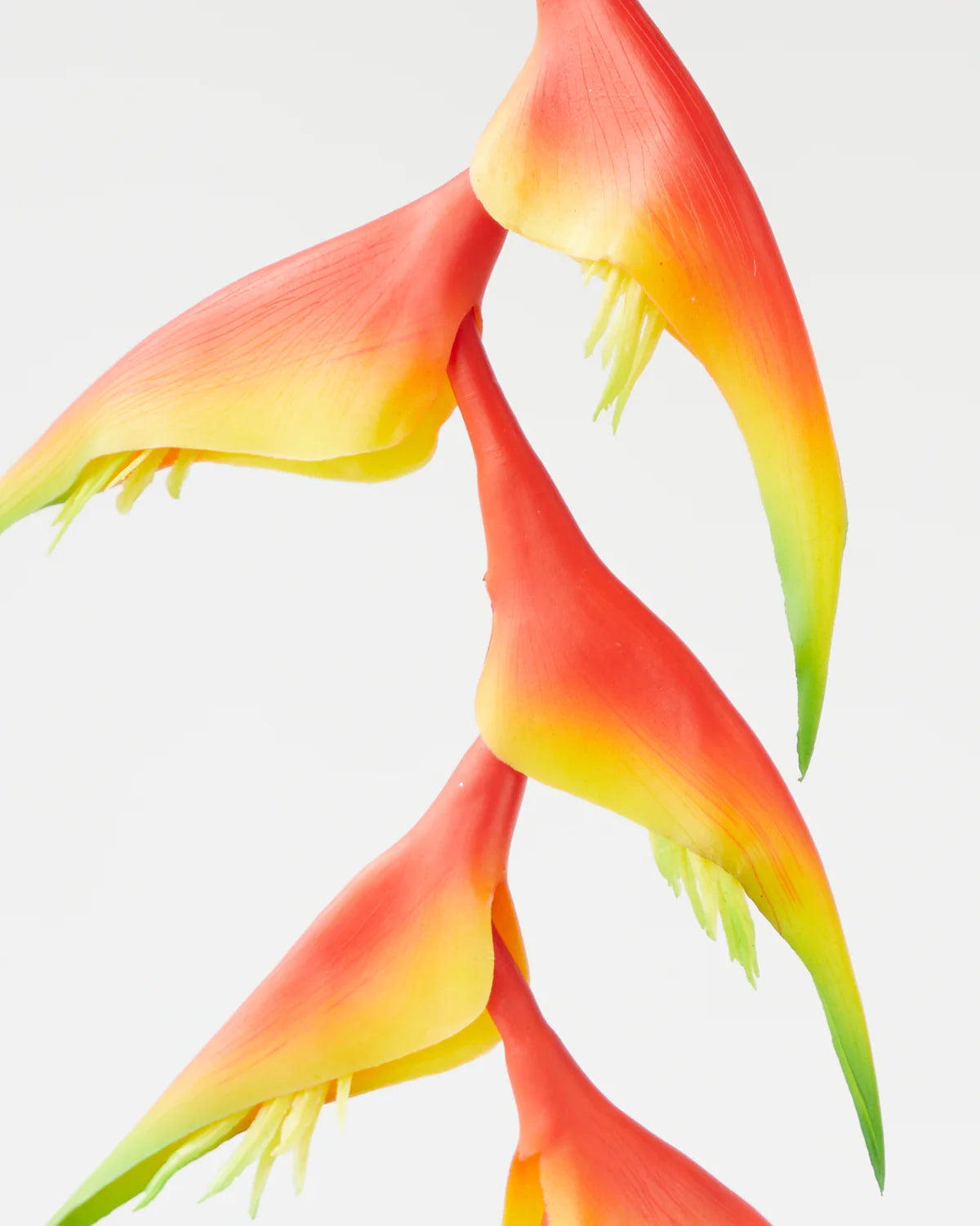 HANGING HELICONIA STEM LIGHT PINK/SUNSET 96CM