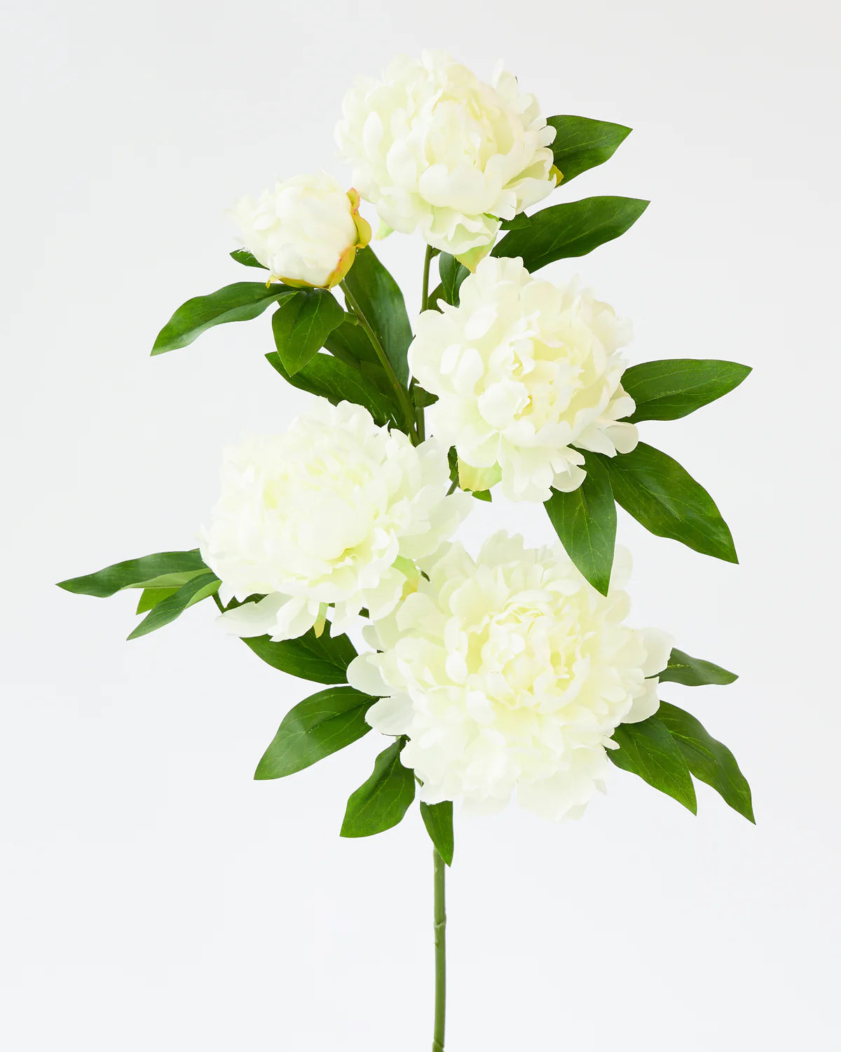 PEONY BRANCH x5 Heads 90CM