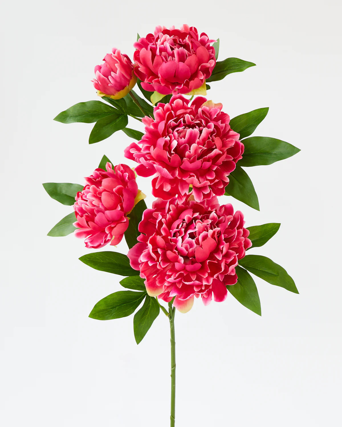 PEONY BRANCH x5 Heads 90CM