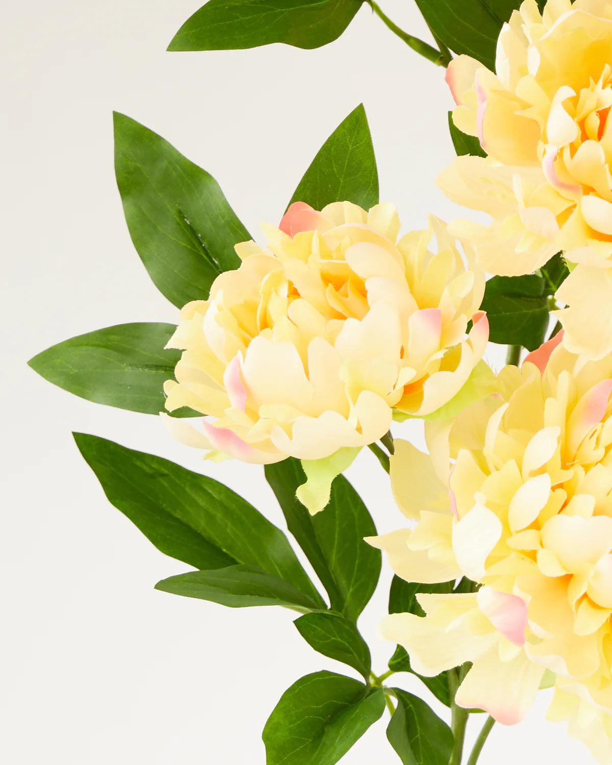 PEONY BRANCH x5 Heads 90CM