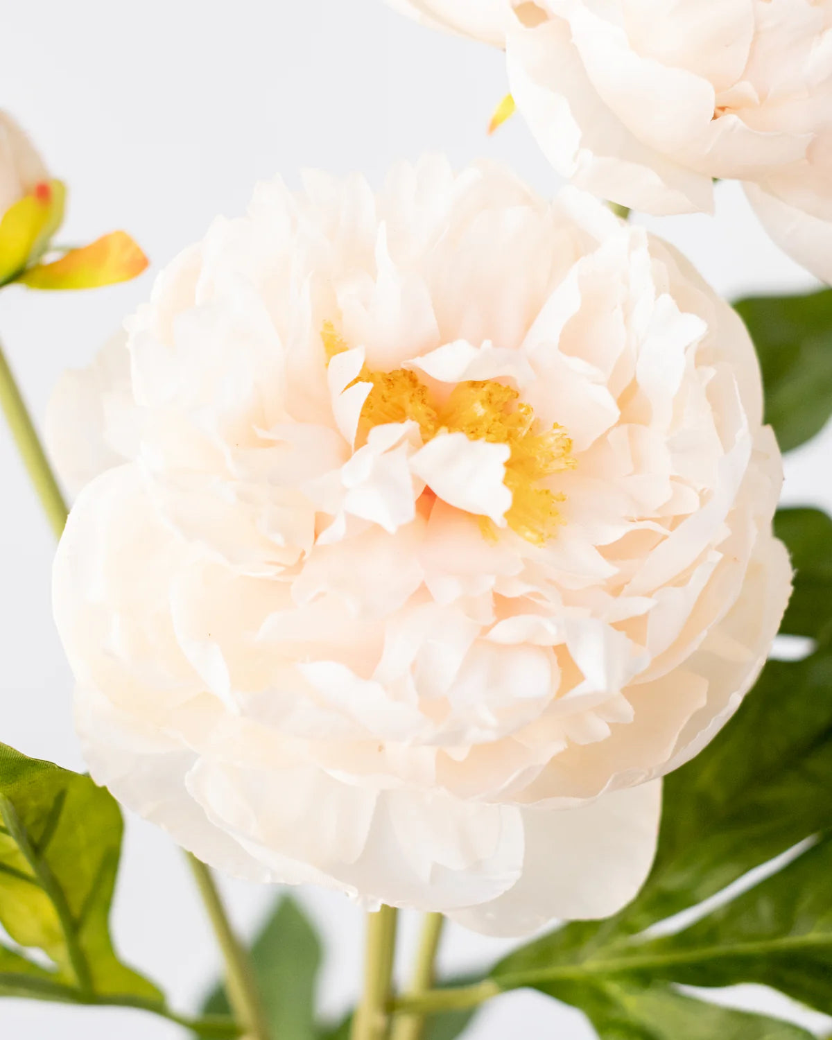 PEONY BRANCH 3 HEADS 75CM