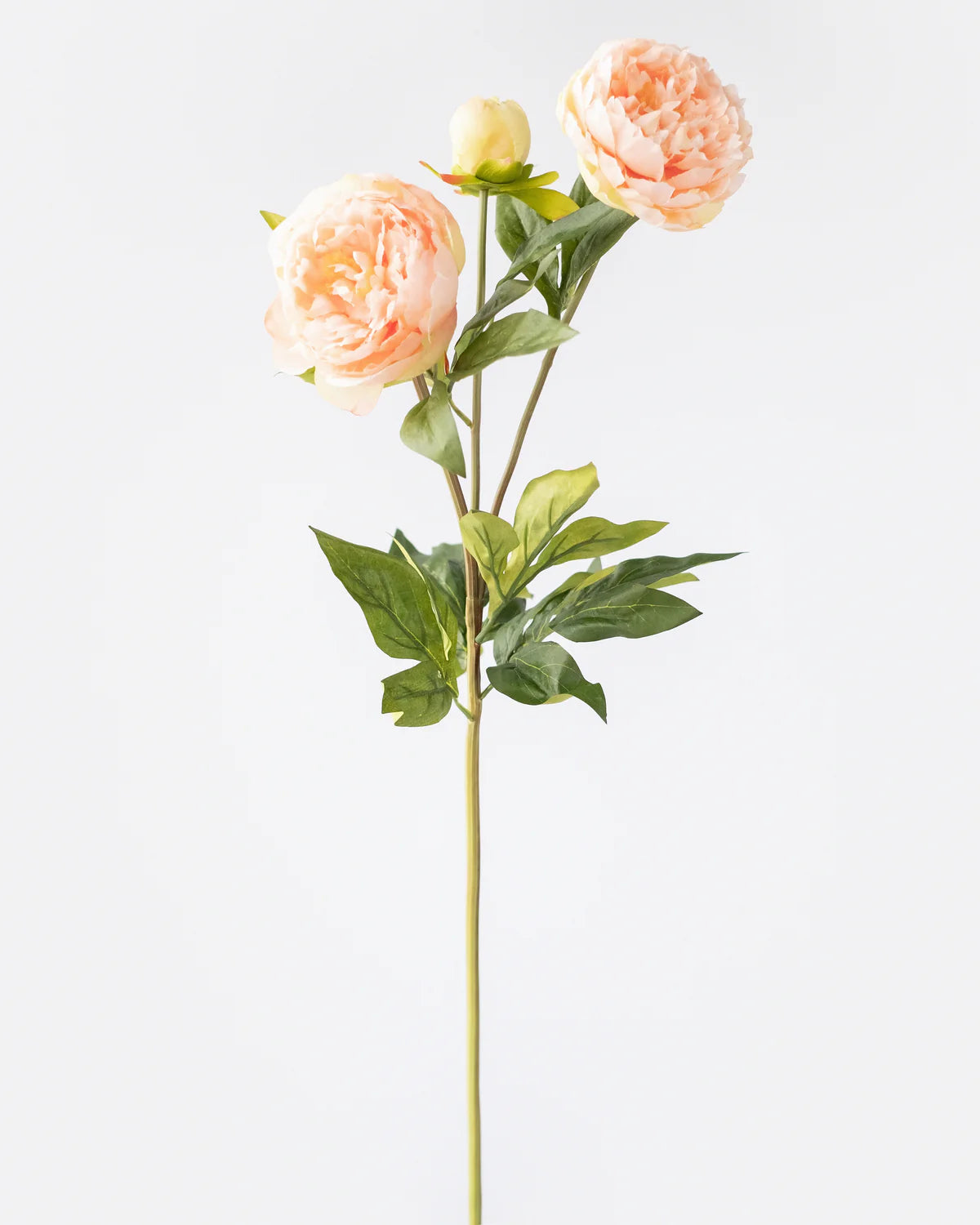PEONY BRANCH 3 HEADS 75CM