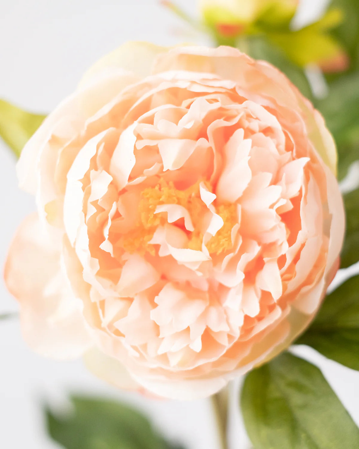 PEONY BRANCH 3 HEADS 75CM
