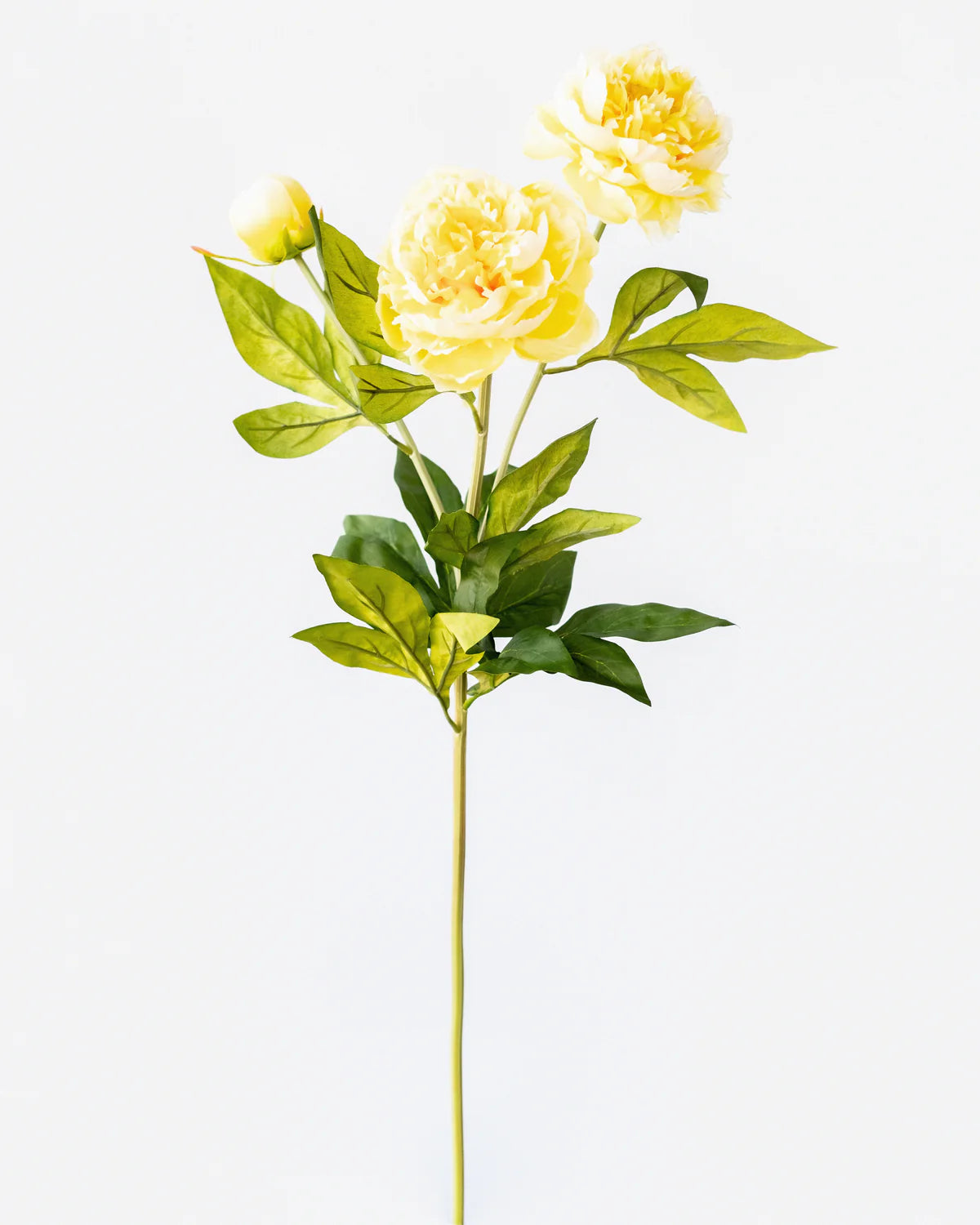 PEONY BRANCH 3 HEADS 75CM
