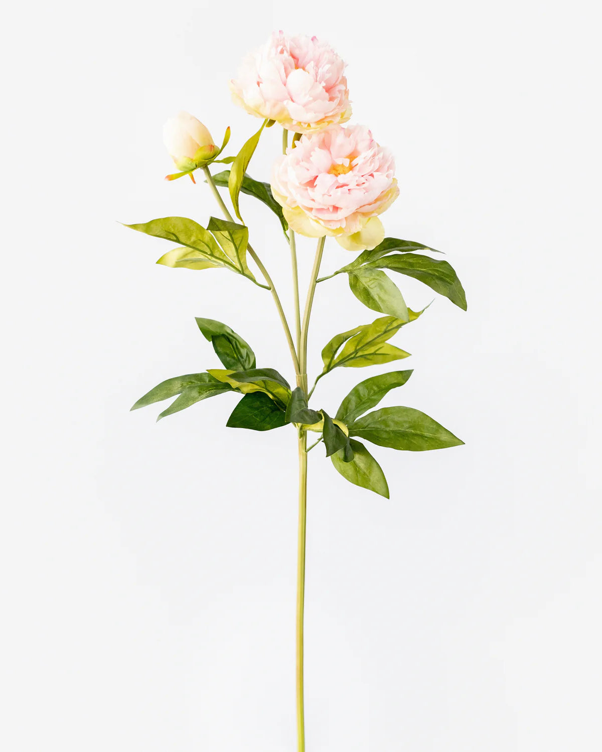 PEONY BRANCH 3 HEADS 75CM