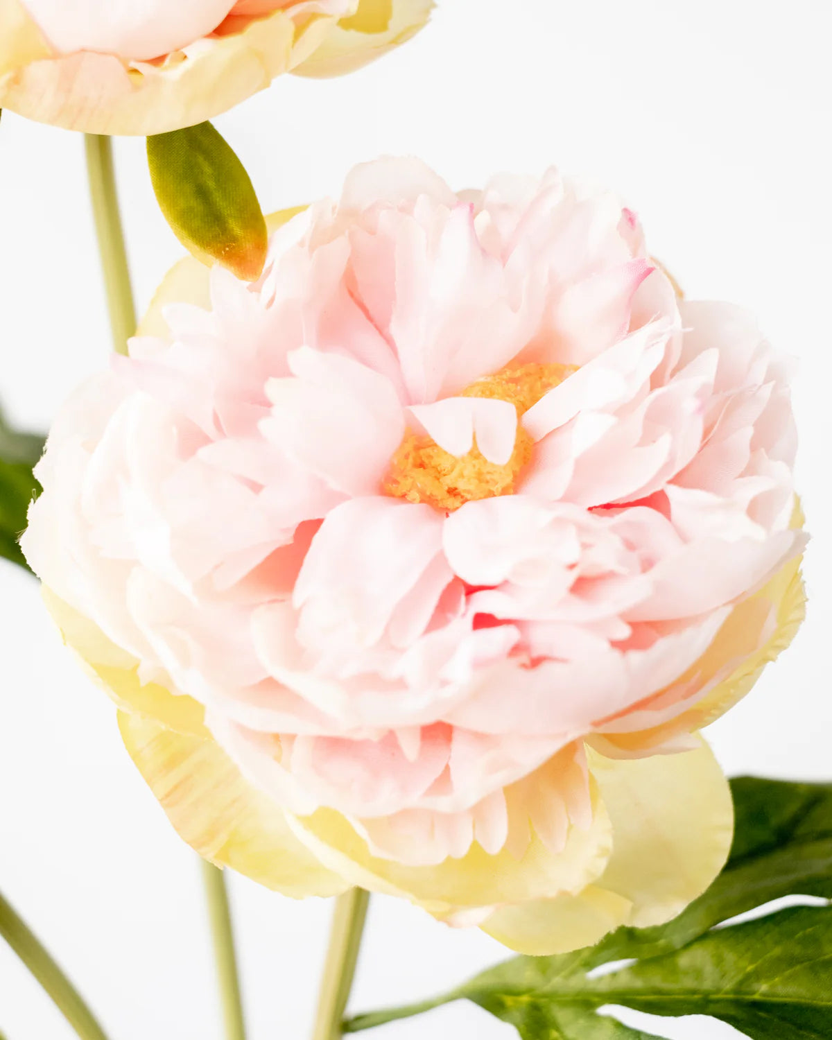 PEONY BRANCH 3 HEADS 75CM