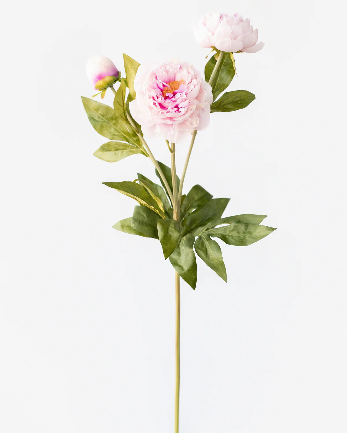 PEONY BRANCH 3 HEADS 75CM