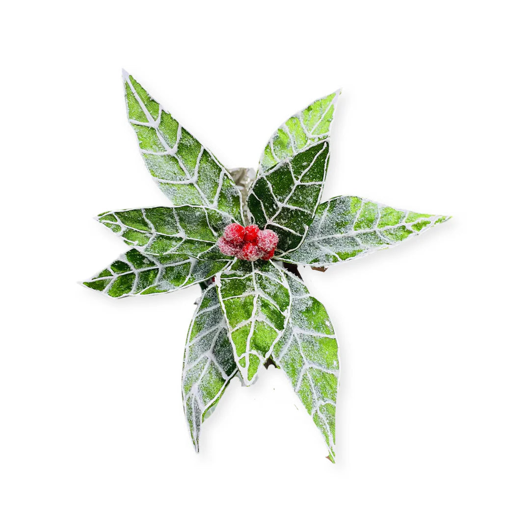 Green/white poinsettia 35cmD