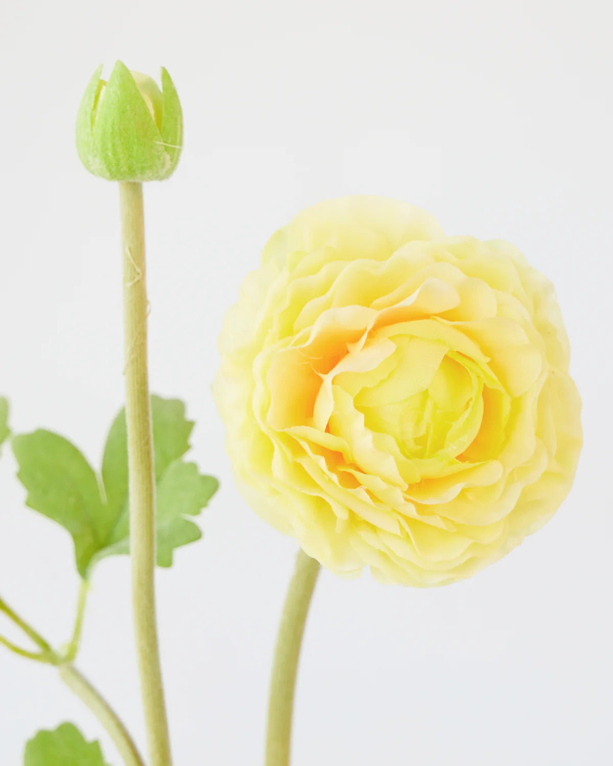 RANUNCULUS SPRAY 56cm ( 4 assorted colours)