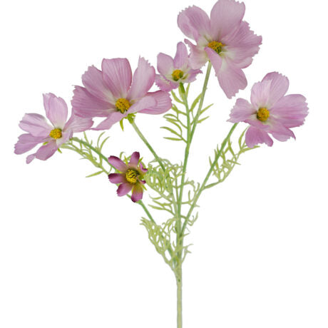 COMOS SPRAY 61CM ( Hoa cánh bướm)