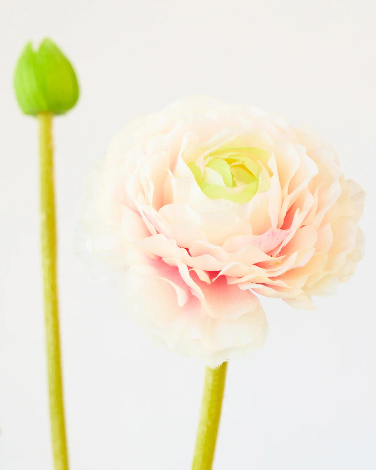 RANUNCULUS SPRAY 56cm ( 4 assorted colours)