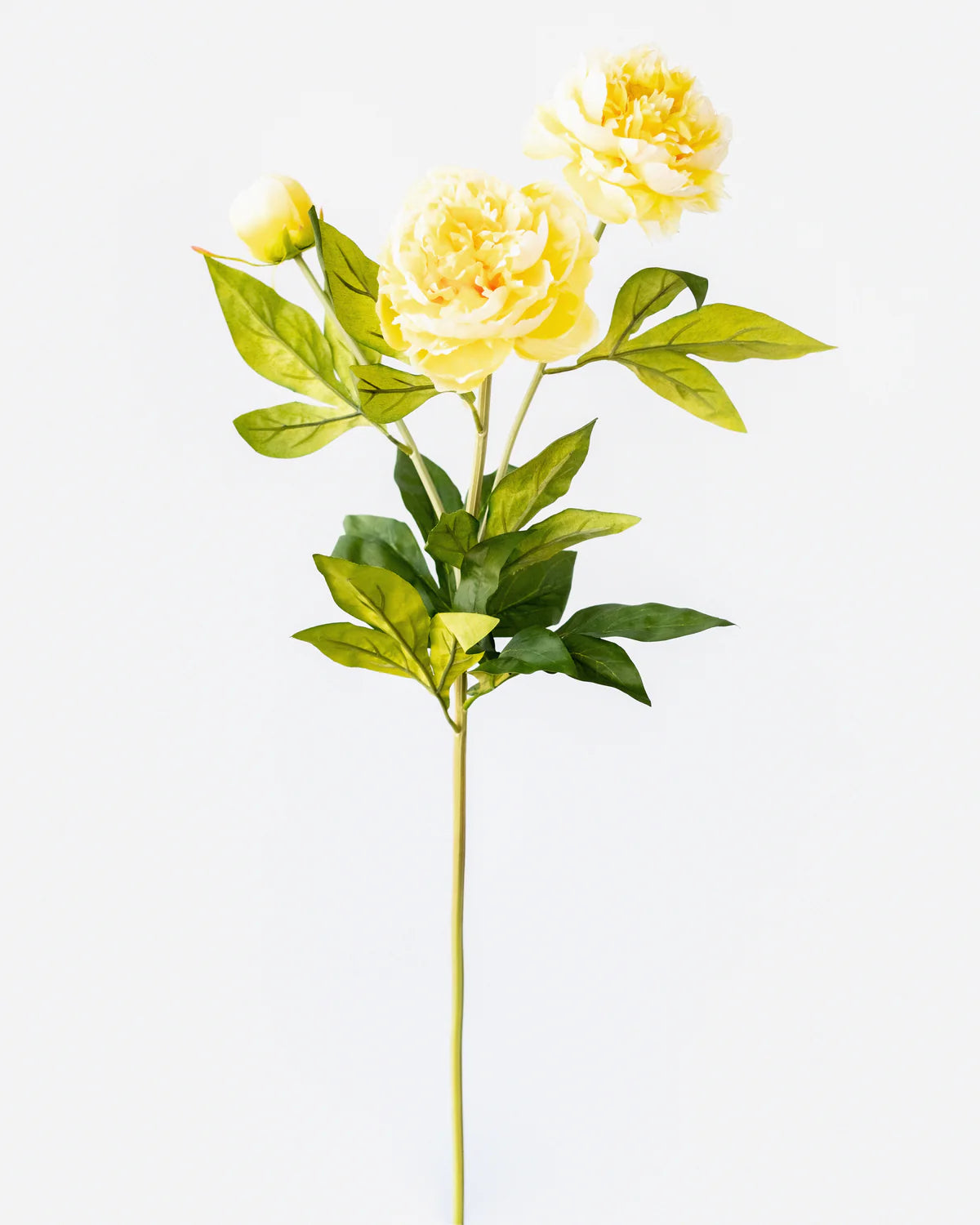 PEONY BRANCH (3 heads) 75CM