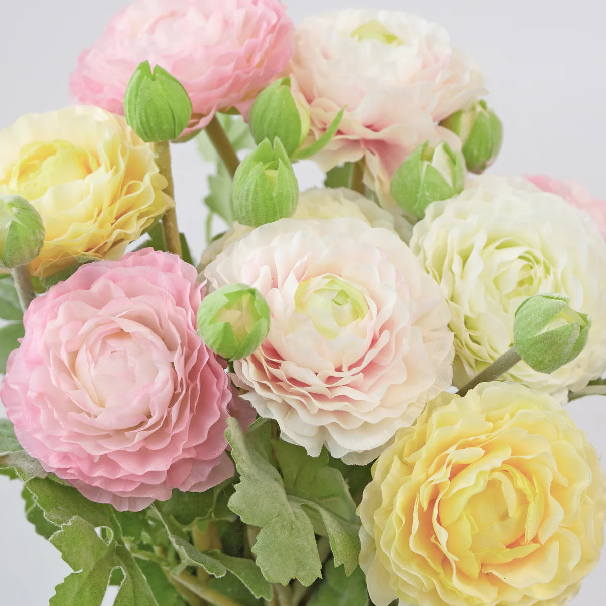 RANUNCULUS SPRAY 56cm ( 4 assorted colours)