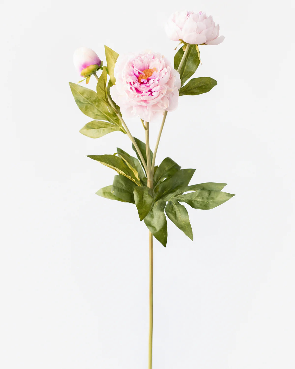 PEONY BRANCH (3 heads) 75CM