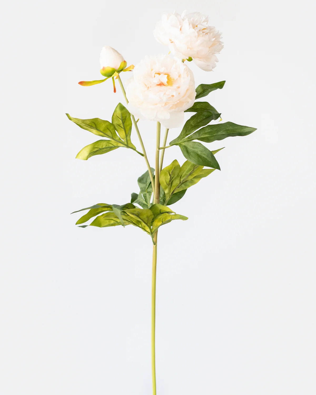 PEONY BRANCH (3 heads) 75CM