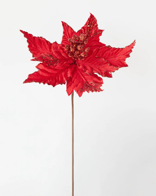 Red Christmas poinsettia 60cm