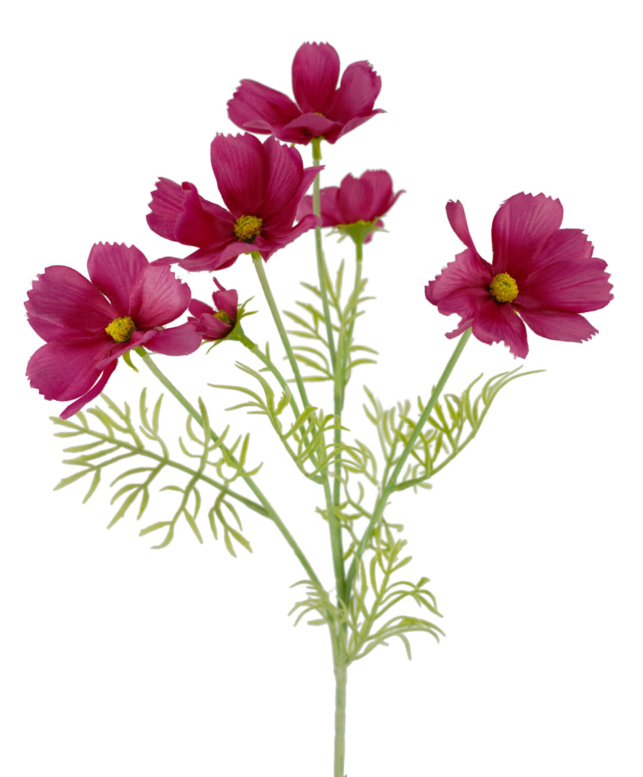 COMOS SPRAY 61CM ( Hoa cánh bướm)