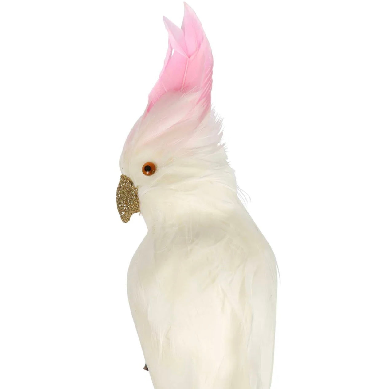 PINKEY COCKATOO