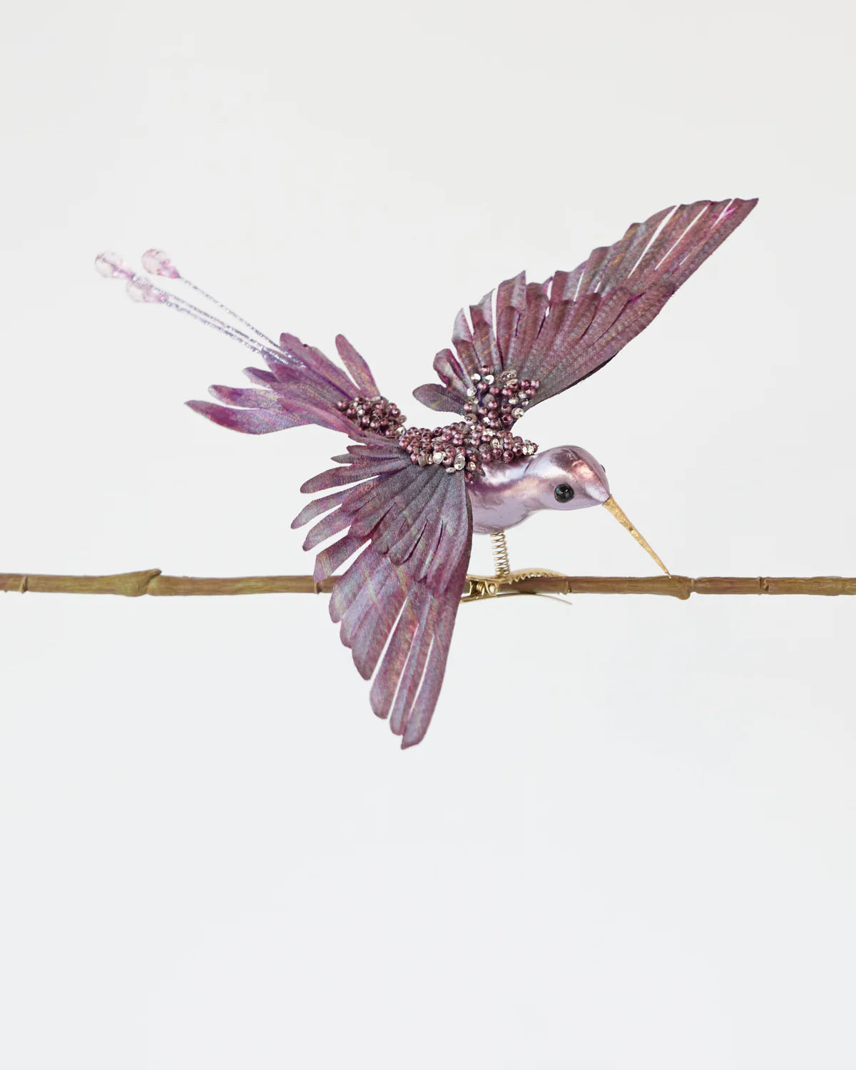 HUMMINGBIRD PURPLE