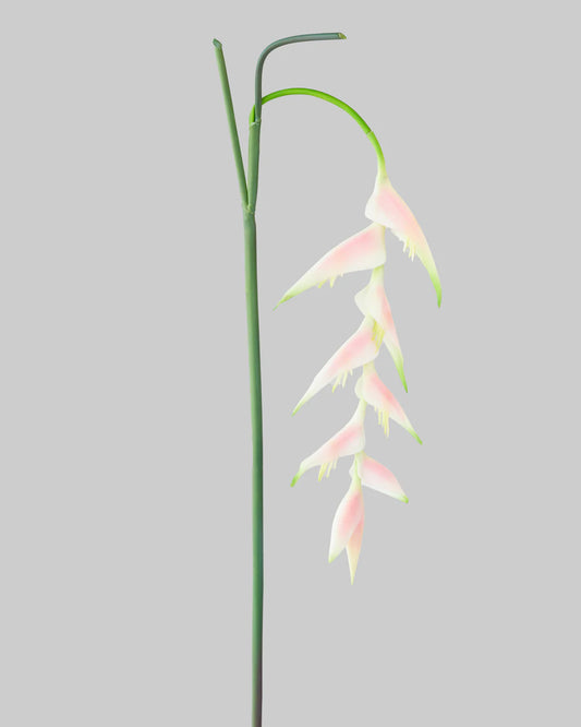 HANGING HELICONIA STEM LIGHT PINK/SUNSET 96CM