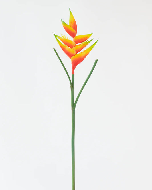 HELICONIA STEM ORANGE/ LIGHT PINK 87CM nó