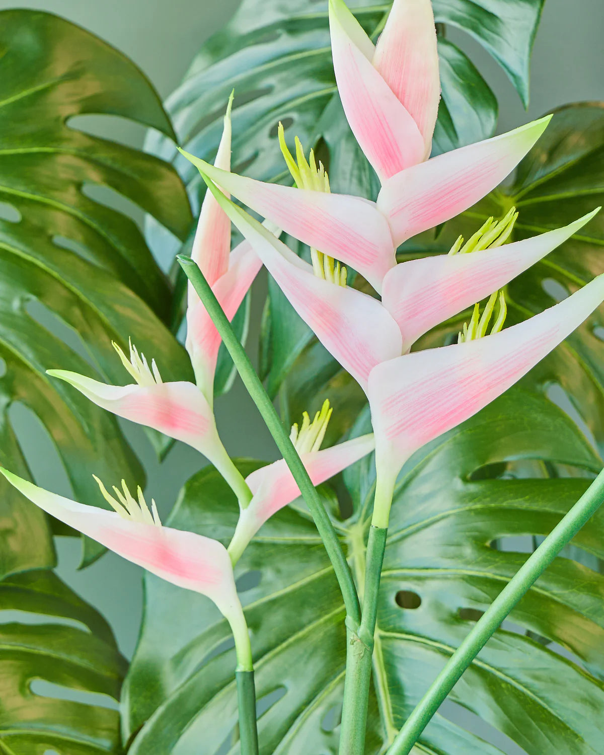 HELICONIA STEM LIGHT PINK/ ORANGE 74CM