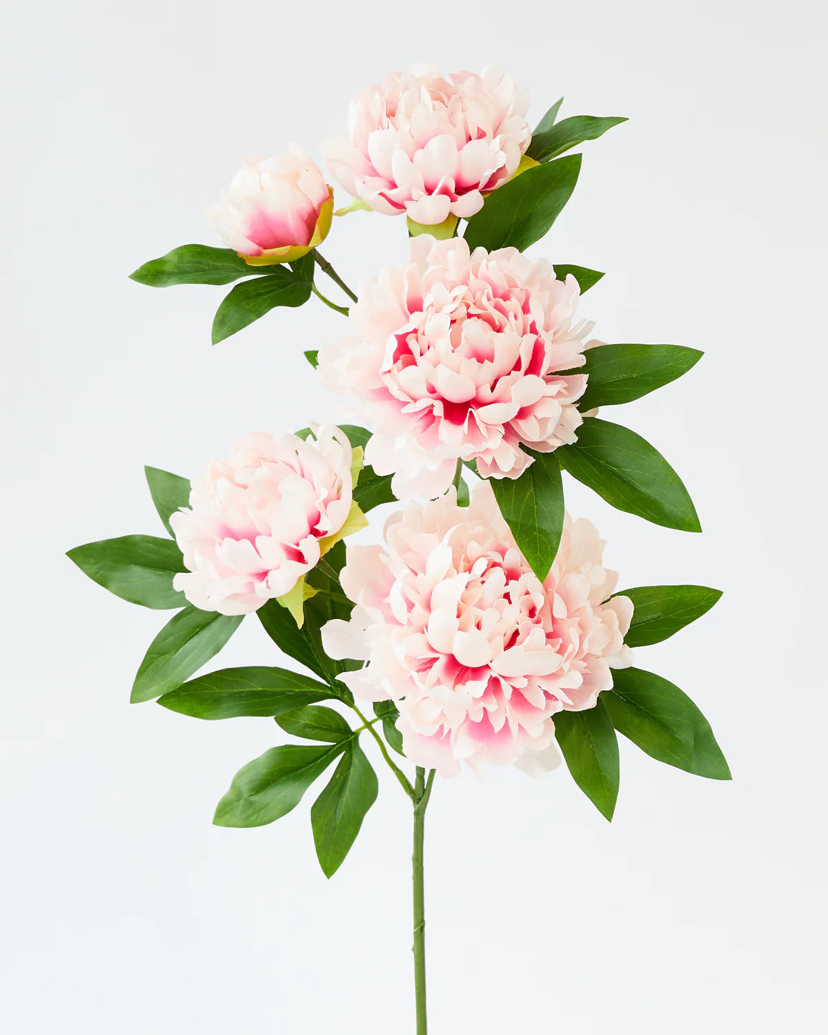 PEONY BRANCH x5 Heads 90CM