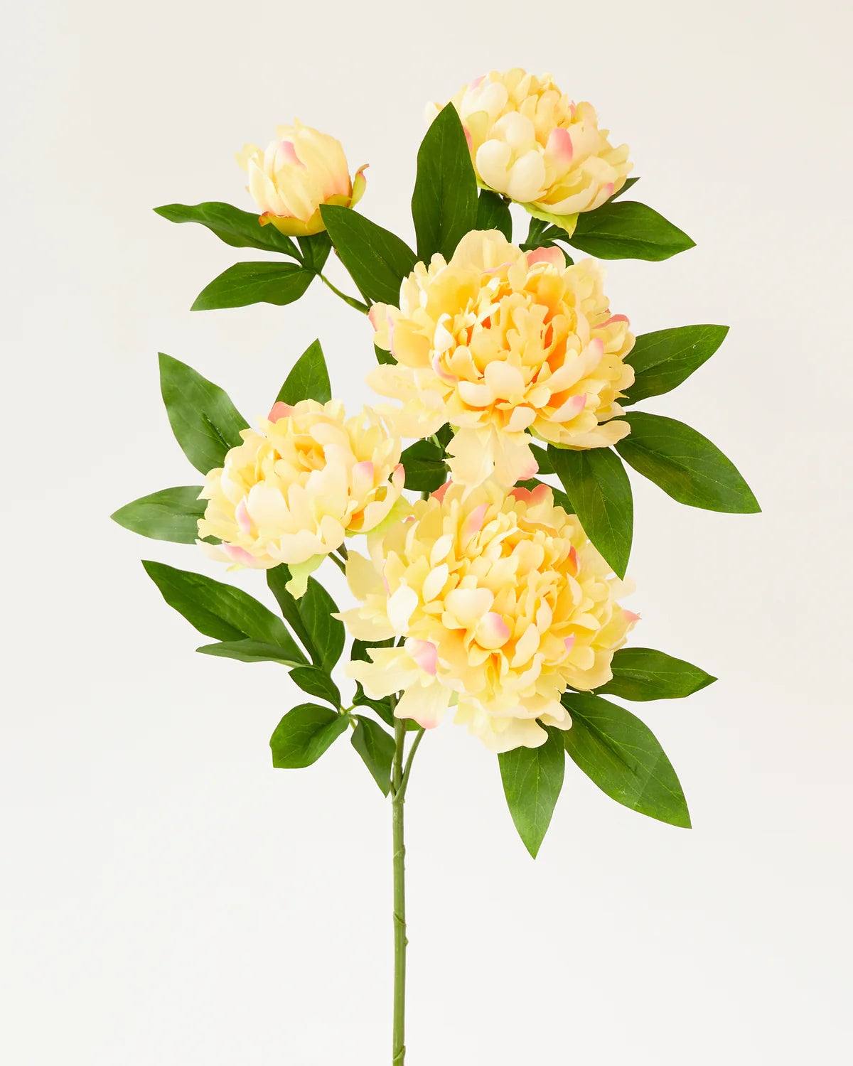 PEONY BRANCH x5 Heads 90CM