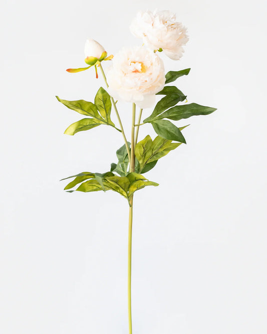 PEONY BRANCH 3 HEADS 75CM