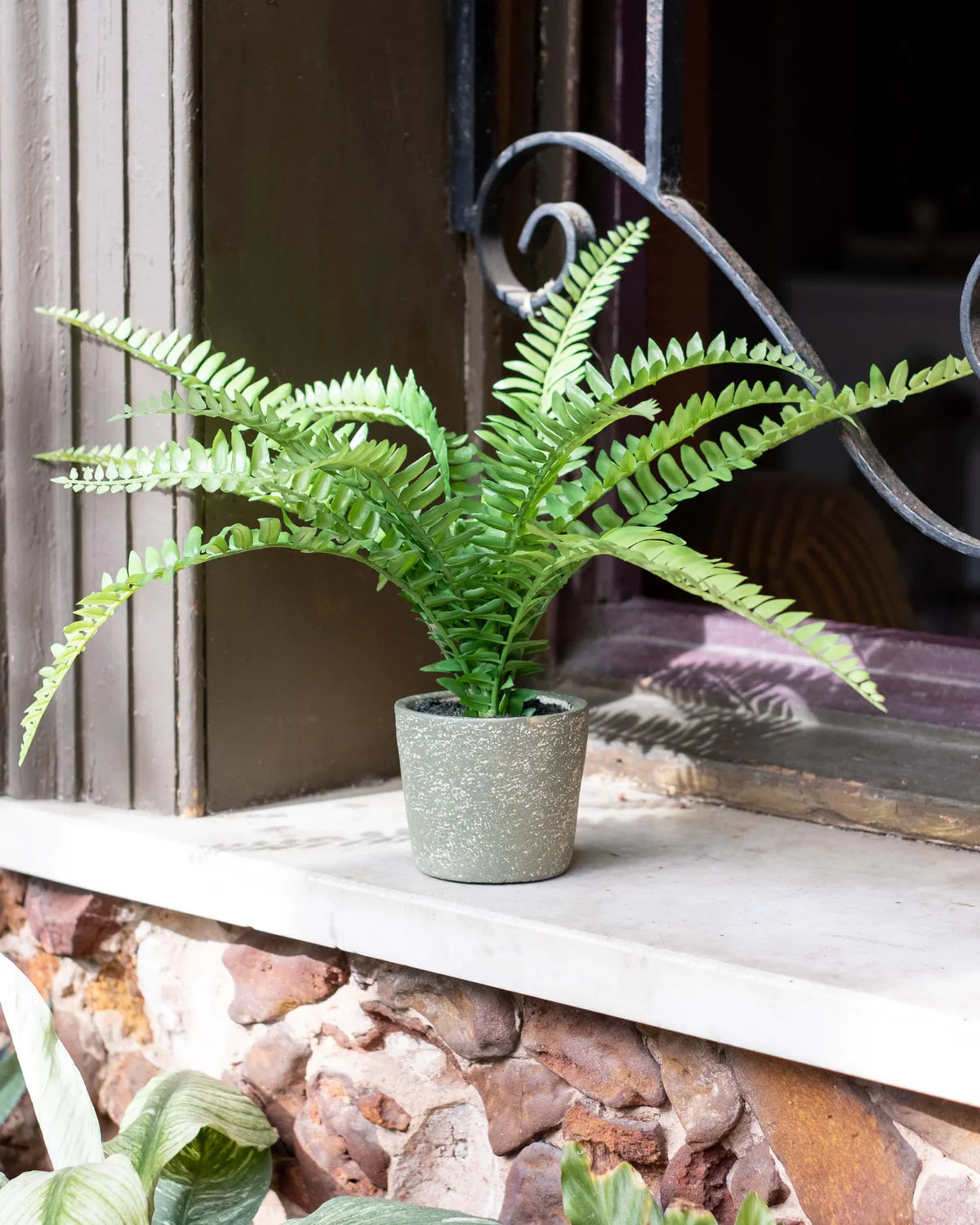 FERN BUSH IN CEMENT POT 37CM