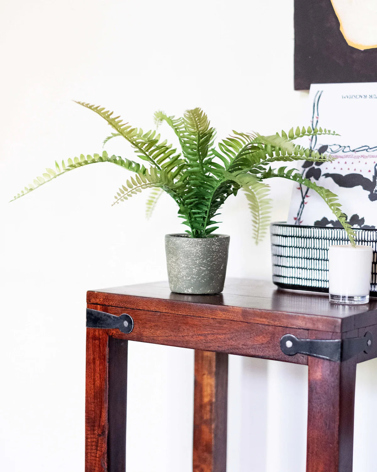 FERN BUSH IN CEMENT POT 37CM