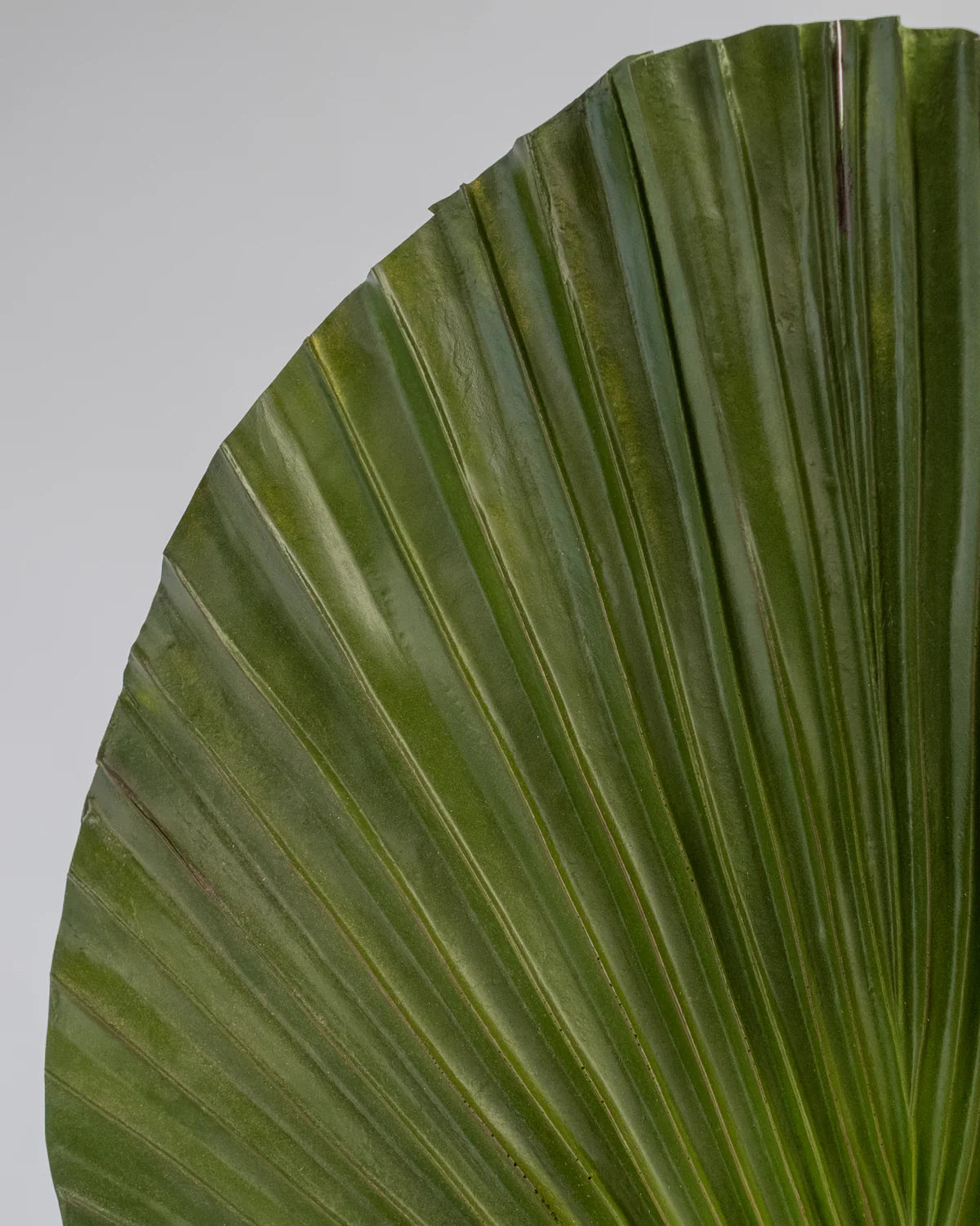 PALM LEAF 85CM