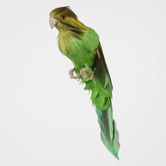 BERNIE THE GREEN BUDGIE