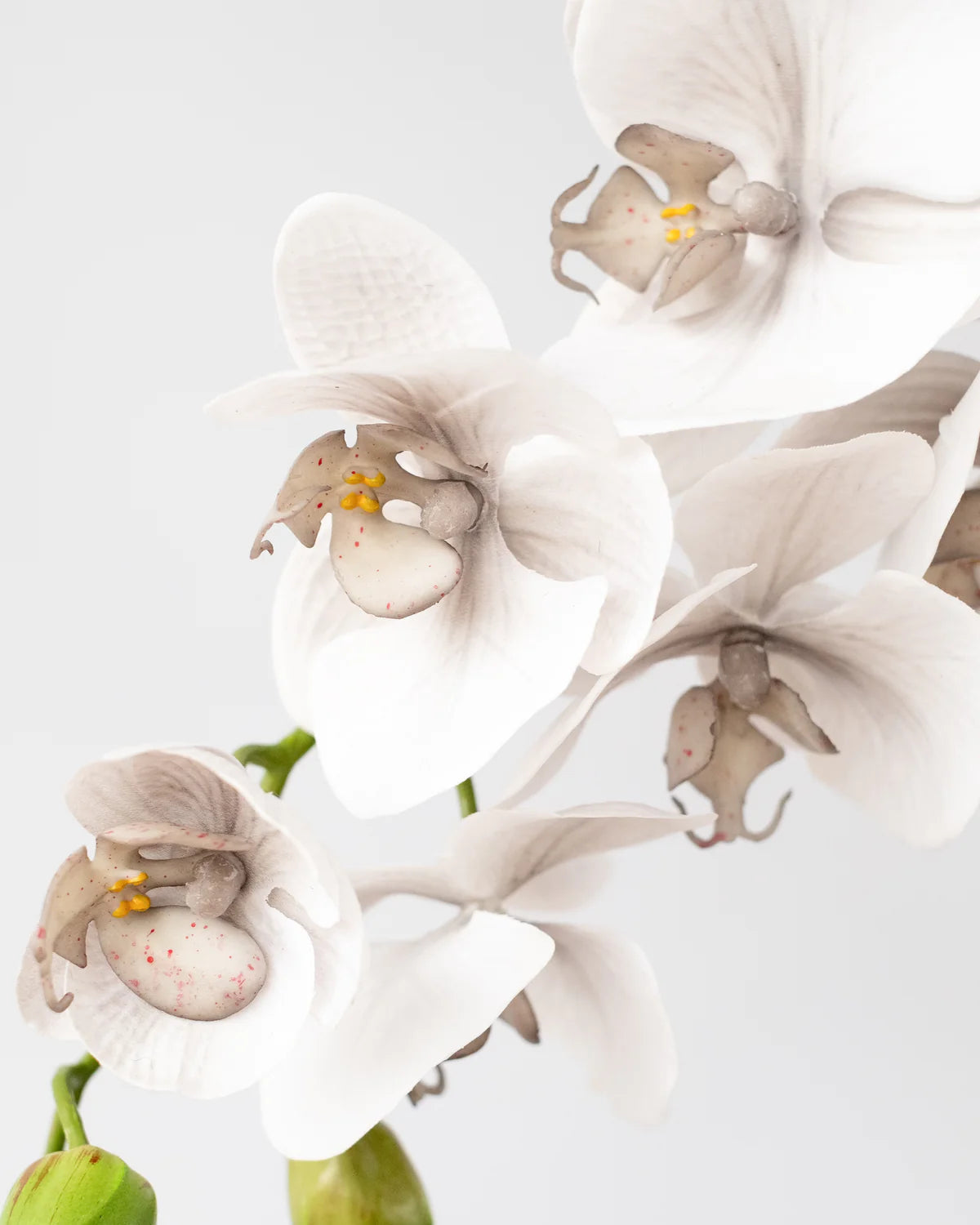 PHALAENOPSIS ORCHID GREY 69CM