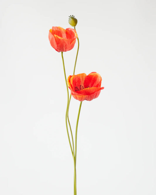 POPPY SPRAY x2 FLOWERS WITH BUD ORANGE 75CM