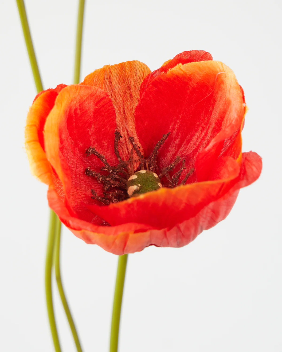 POPPY SPRAY x2 FLOWERS WITH BUD ORANGE 75CM