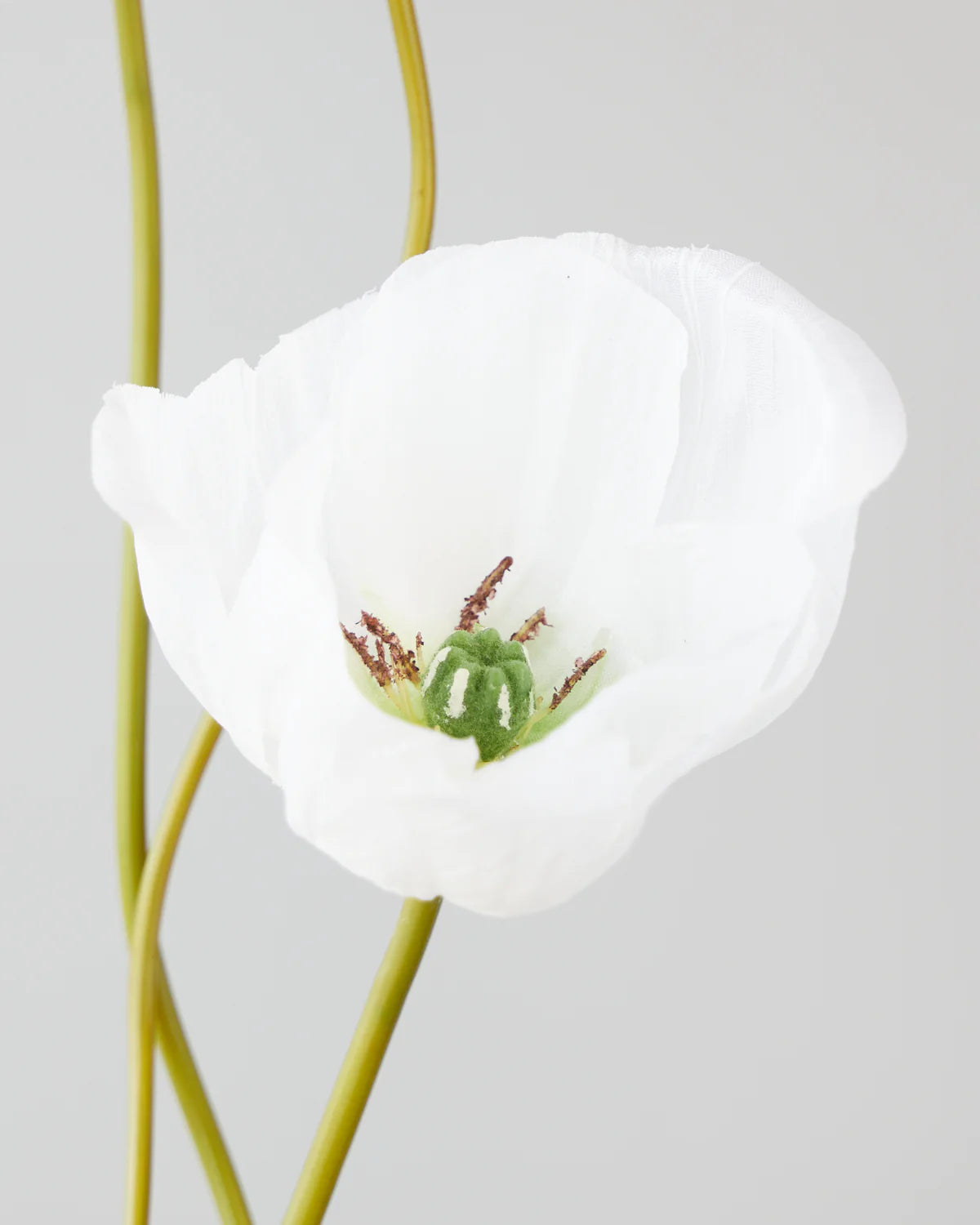 POPPY SPRAY x2 FLOWERS WITH BUD White 75CM