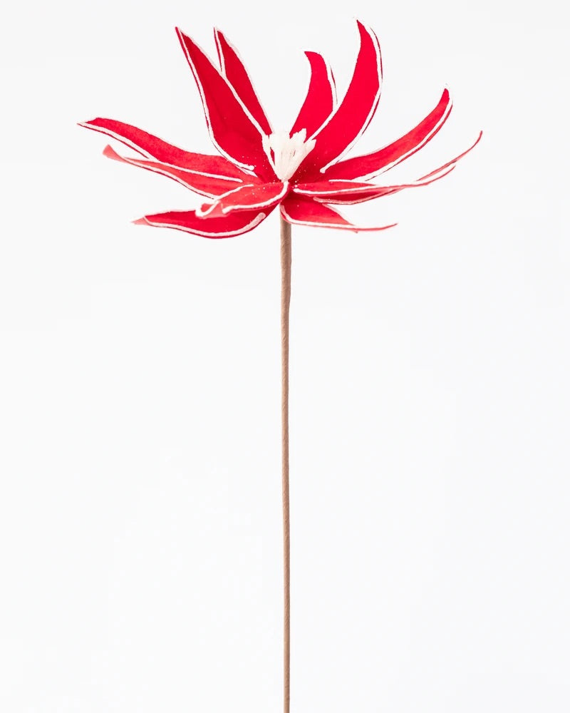 PINWHEEL POINSETTIA SPRAY RED/WHITE 63CM