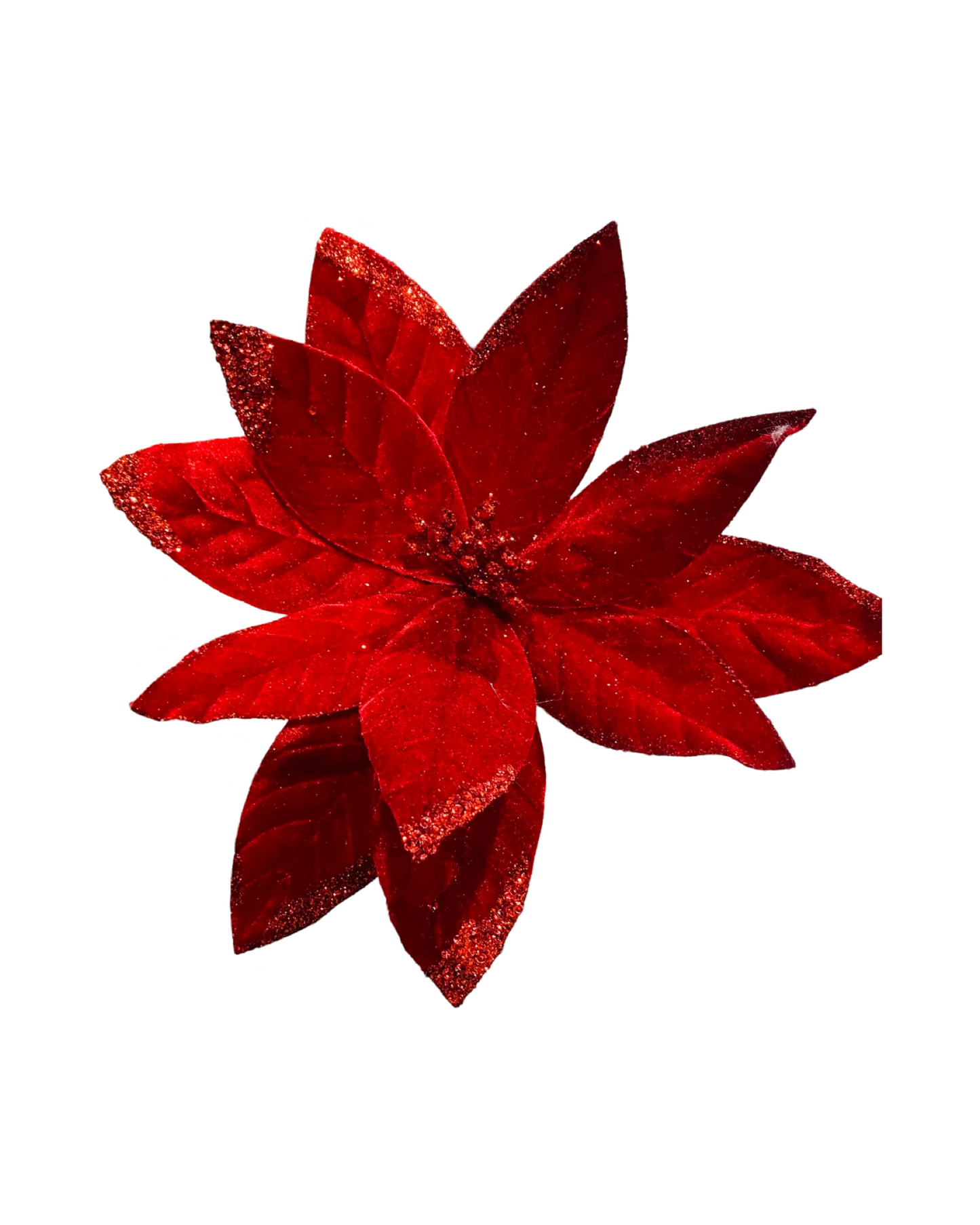 Red velvet Poinsettia 35cmD 50cmL