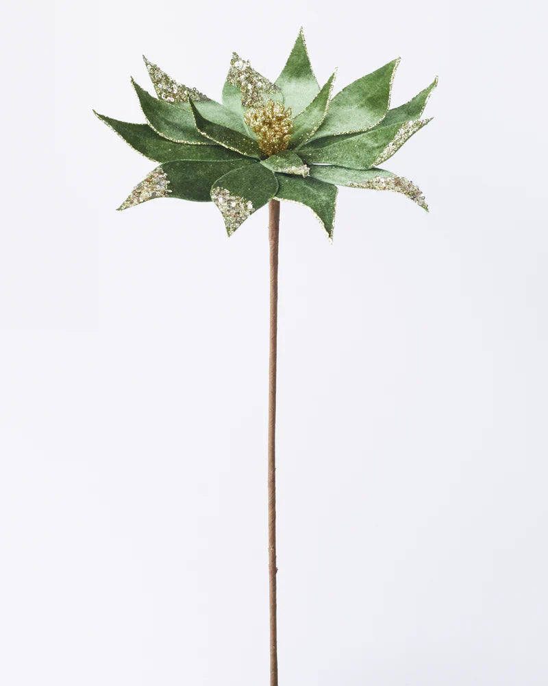 POINSETTIA STEM SAGE GREEN 64cm